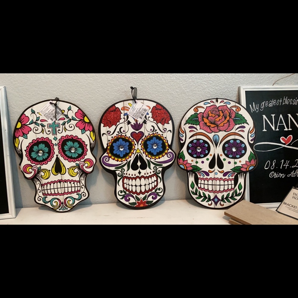 Sugar skull frames large size